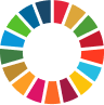 SDG Logo
